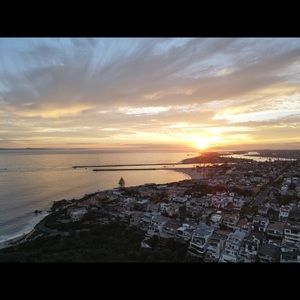 Meet your Posher, Joey